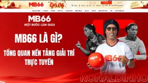MB66 Là Gì? Tổng Quan Nền Tảng Giải Trí Trực Tuyến